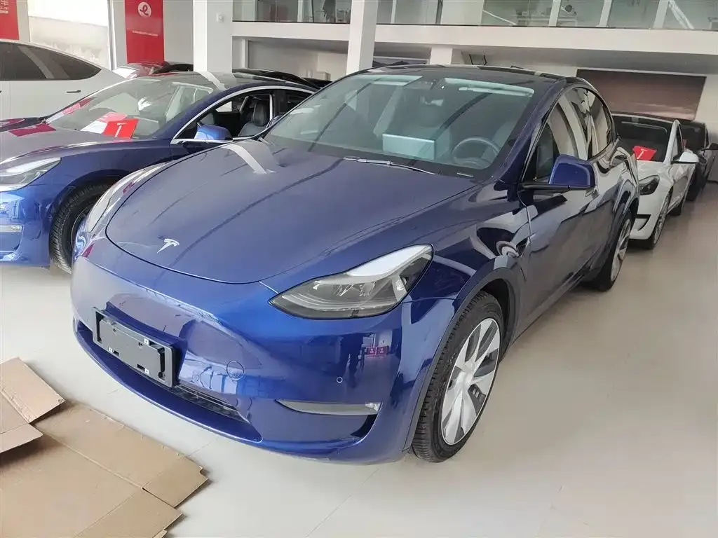 Tesla Model Y 2021 из CN, фото 1
