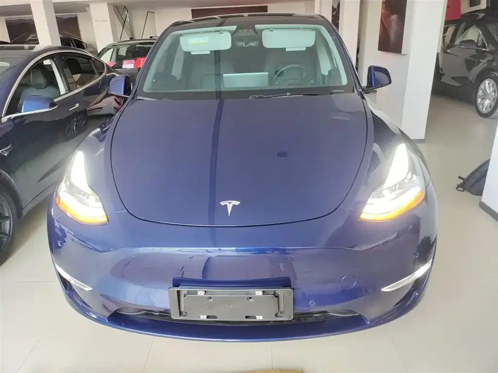 Tesla Model Y 2021 из CN, фото 3