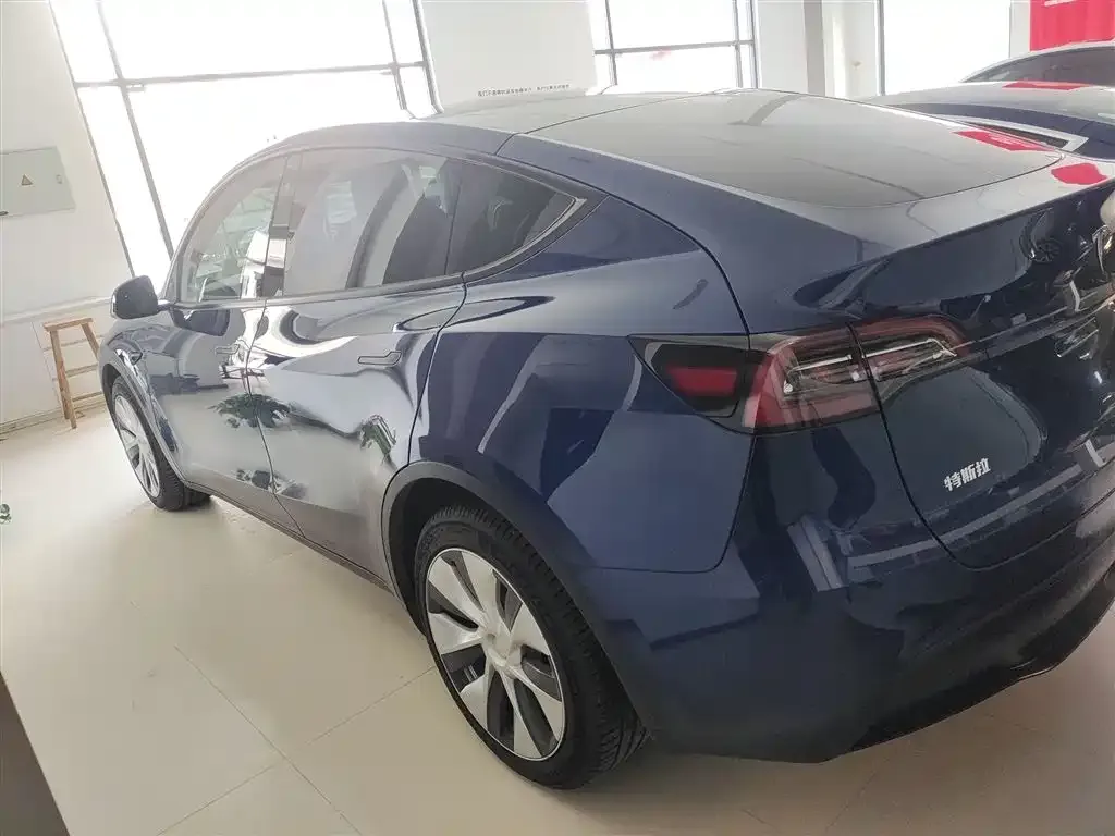 Tesla Model Y 2021 из CN, фото 5