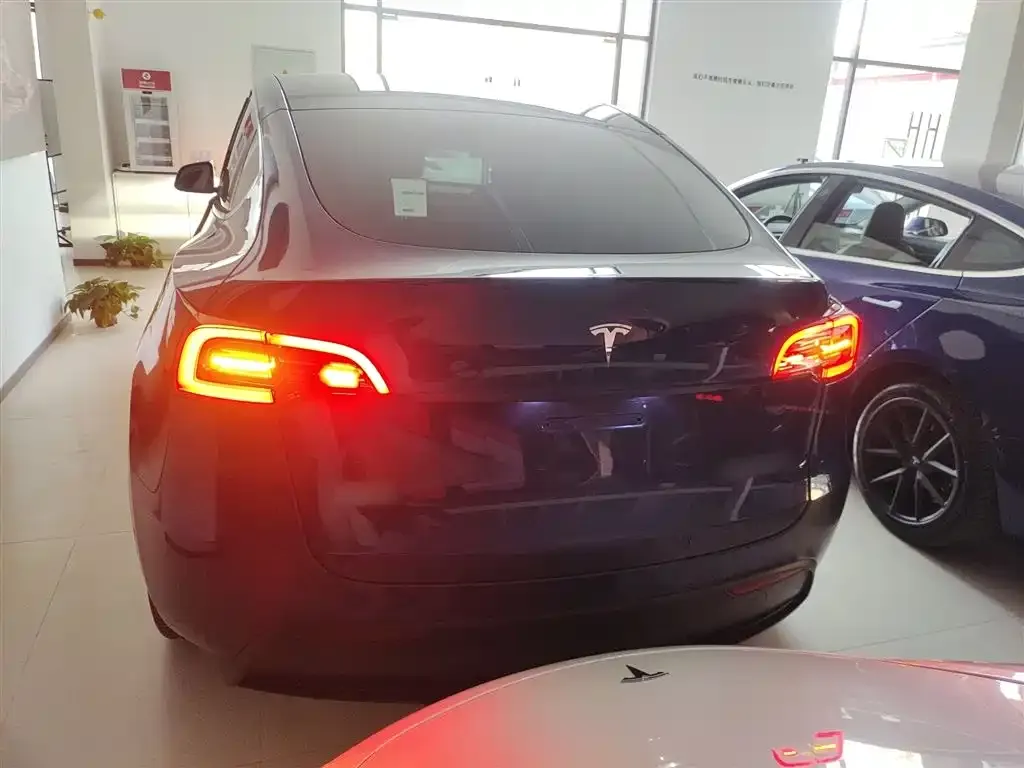 Tesla Model Y 2021 из CN, фото 6