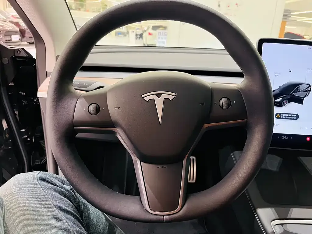 Tesla Model 3 2023 из CN, фото 4