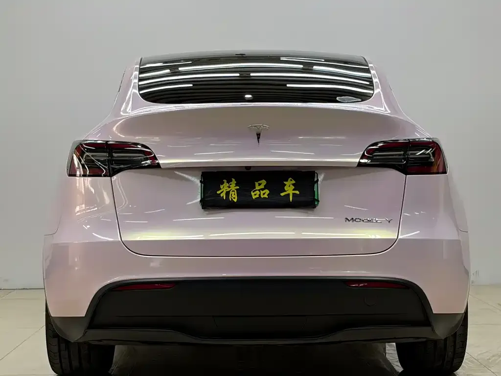 Tesla Model Y 2023 из CN, фото 2