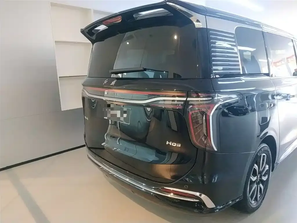 Hongqi HQ9 2023 из CN, фото 2