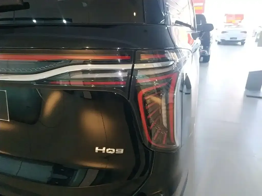 Hongqi HQ9 2023 из CN, фото 6