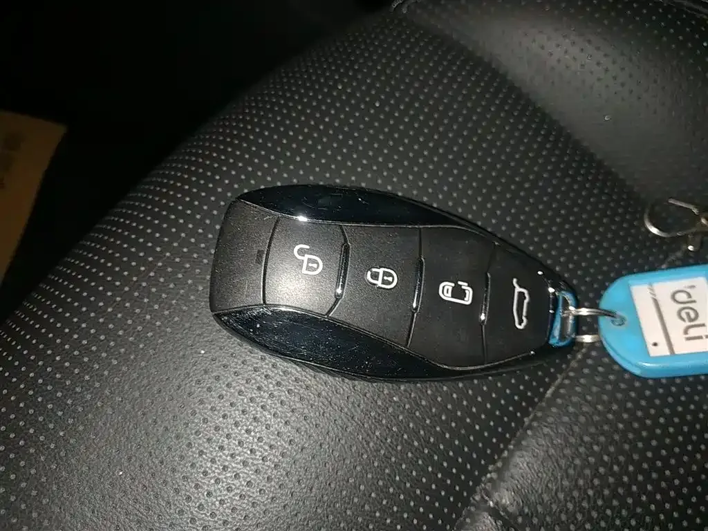 Hongqi HQ9 2023 из CN, фото 5