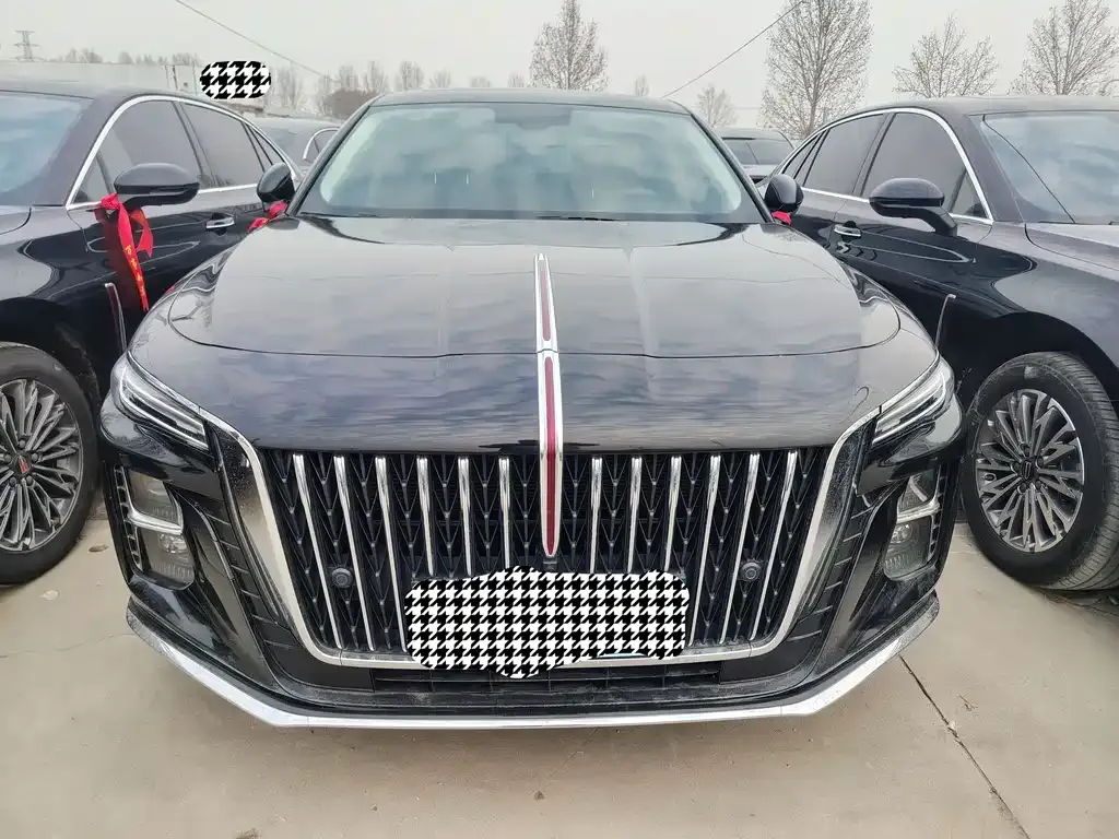 Hongqi H5 2023 из CN, фото 7