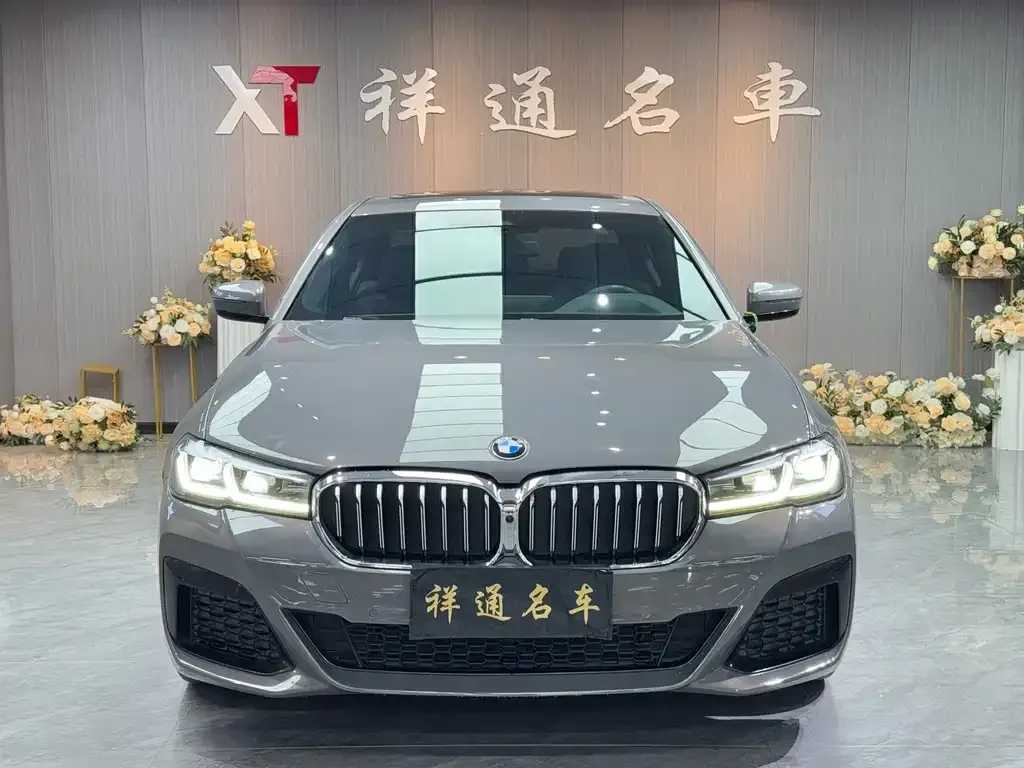 BMW 5 Series (Import) 2022 из CN, фото 3