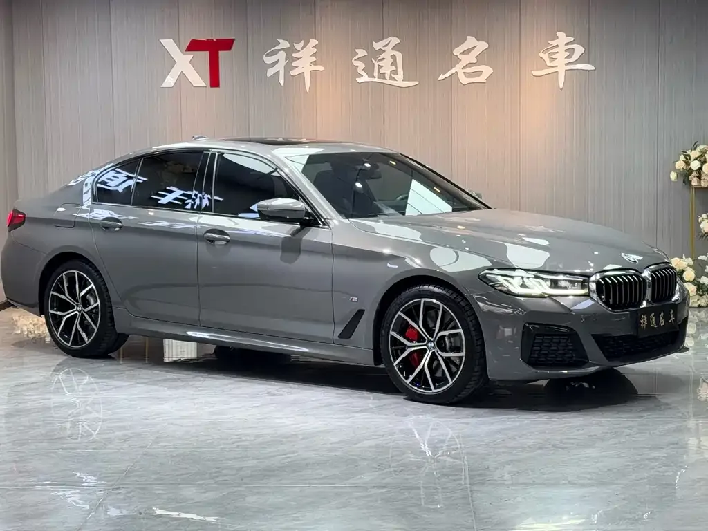 BMW 5 Series (Import) 2022 из CN, фото 8