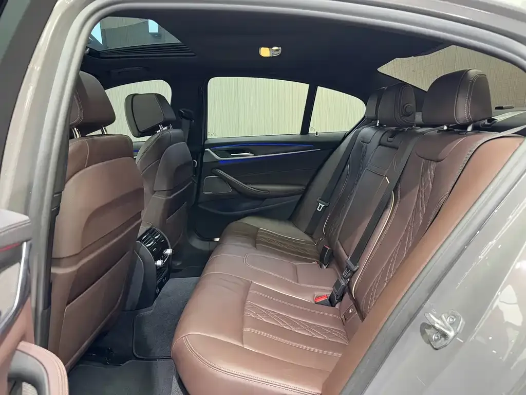 BMW 5 Series (Import) 2022 из CN, фото 7
