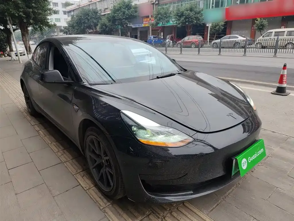 Tesla Model 3 2021 из CN, фото 4