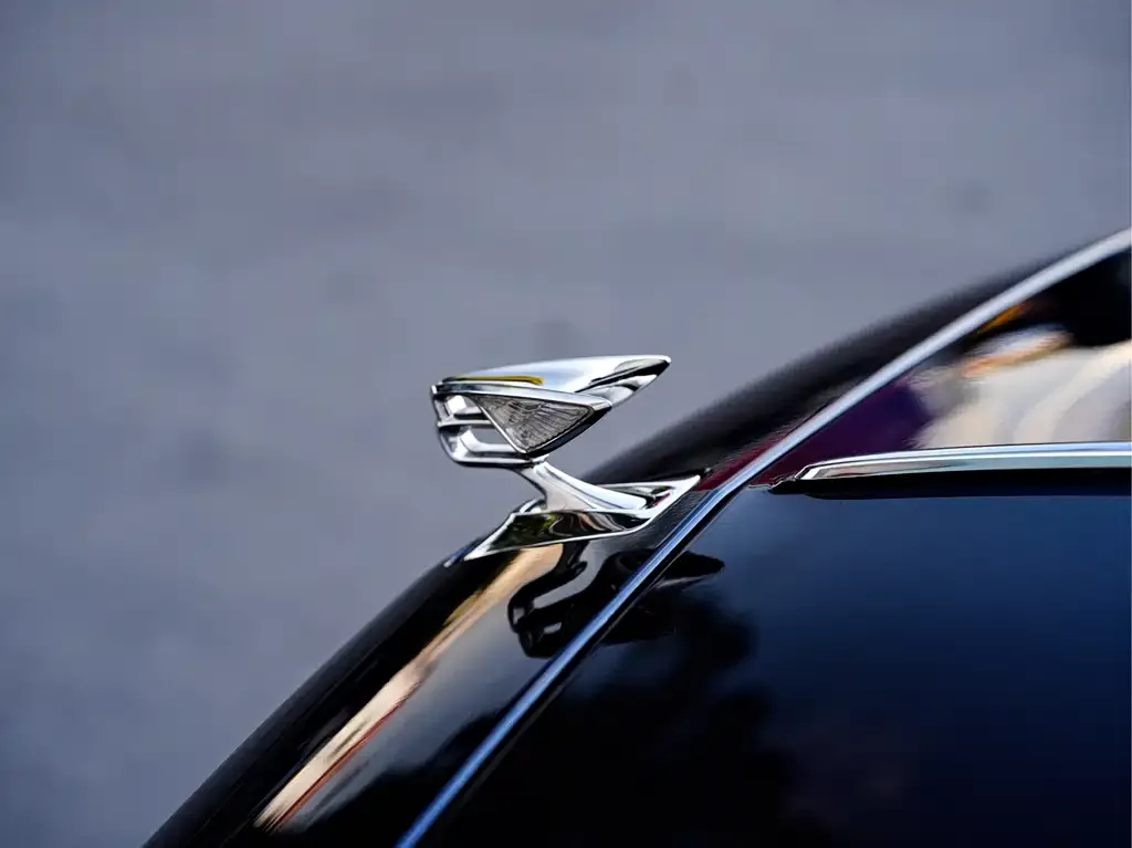 Bentley Flying Spur 2022 из CN, фото 4