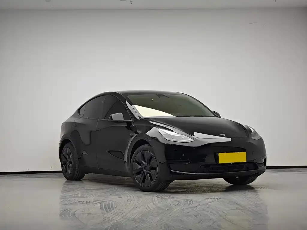 Tesla Model Y — фото 10
