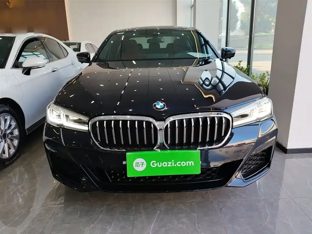 BMW 5 Series 2024 из CN, фото 3