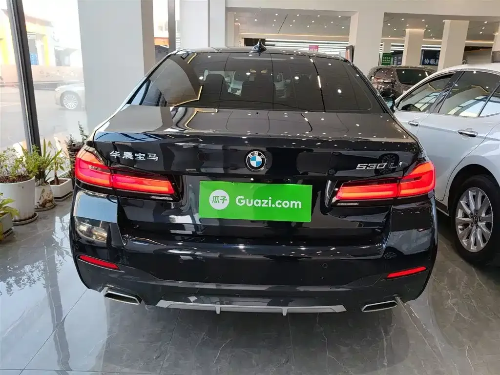 BMW 5 Series 2024 из CN, фото 6