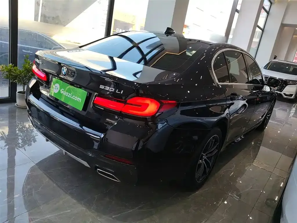 BMW 5 Series 2024 из CN, фото 9