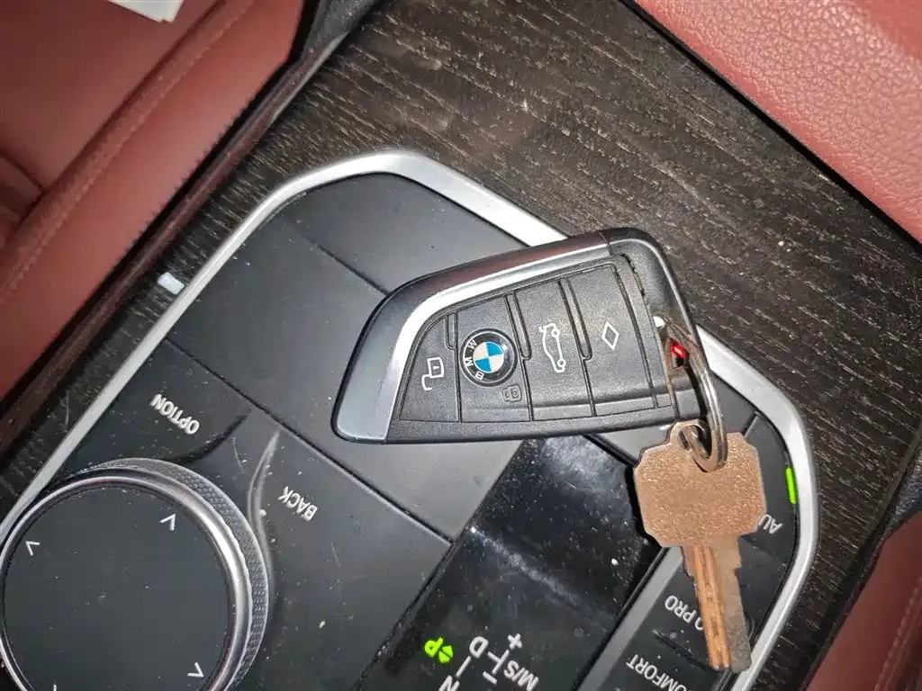 BMW 3 Series 2021 из CN, фото 9
