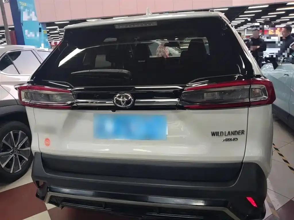 Toyota Wildlander 2023 из CN, фото 9