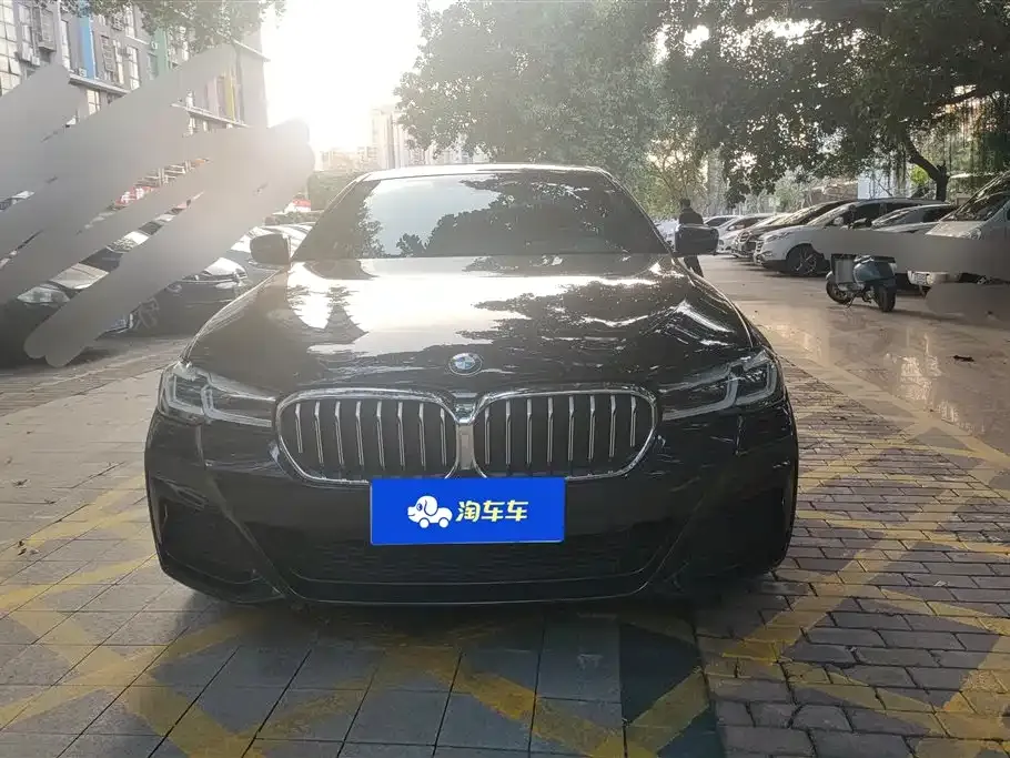 BMW 5 Series 2022 из CN, фото 8