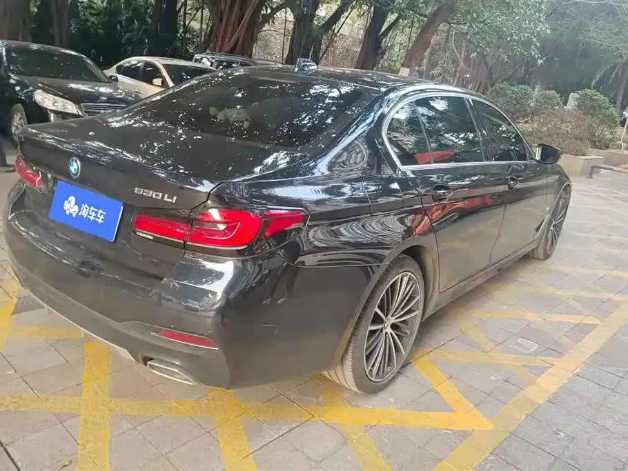 BMW 5 Series 2022 из CN, фото 10