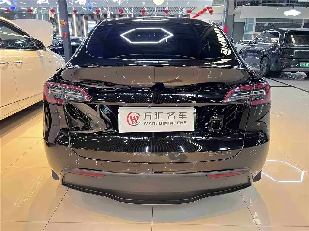 Tesla Model Y — фото 10