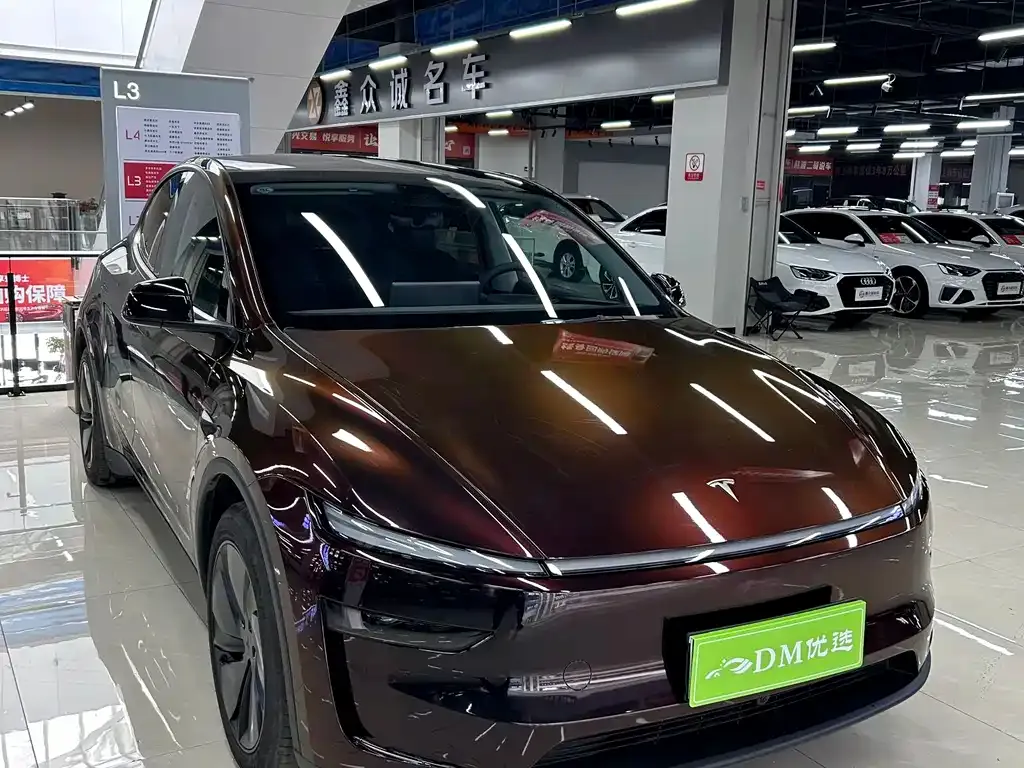 Tesla Model Y 2025 из CN, фото 1
