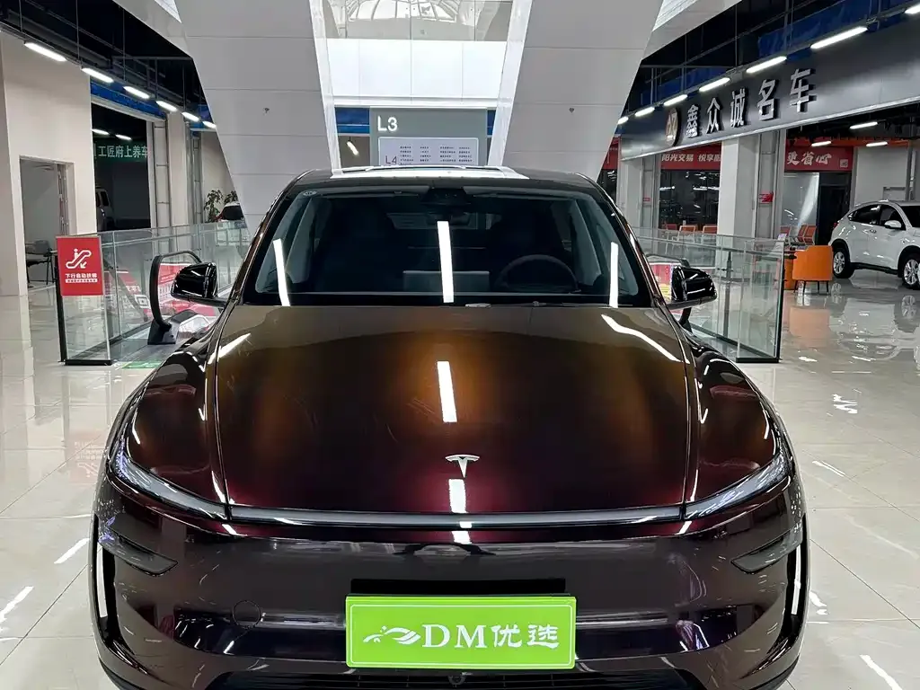 Tesla Model Y 2025 из CN, фото 7