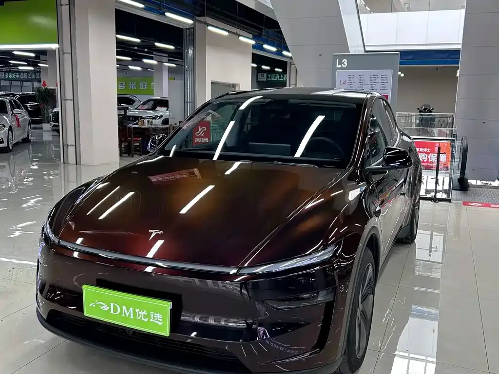 Tesla Model Y 2025 из CN, фото 5