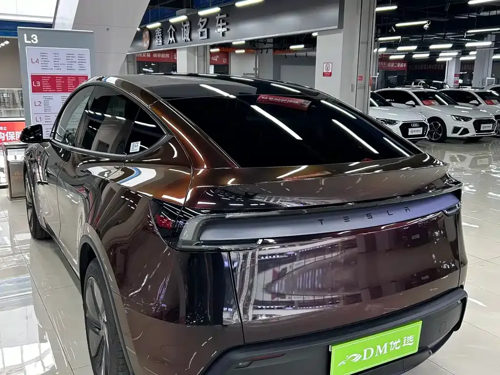Tesla Model Y 2025 из CN, фото 4