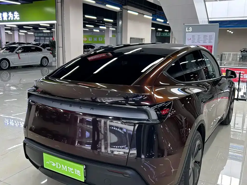 Tesla Model Y 2025 из CN, фото 9