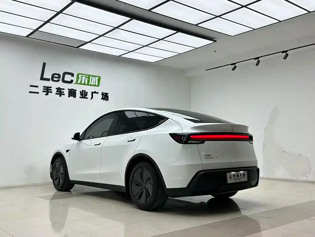 Tesla Model Y 2025 из CN, фото 6