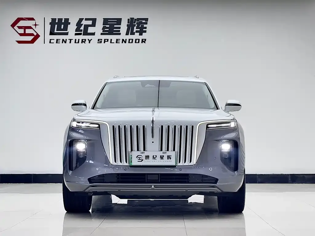 Hongqi E-HS9 — фото 10