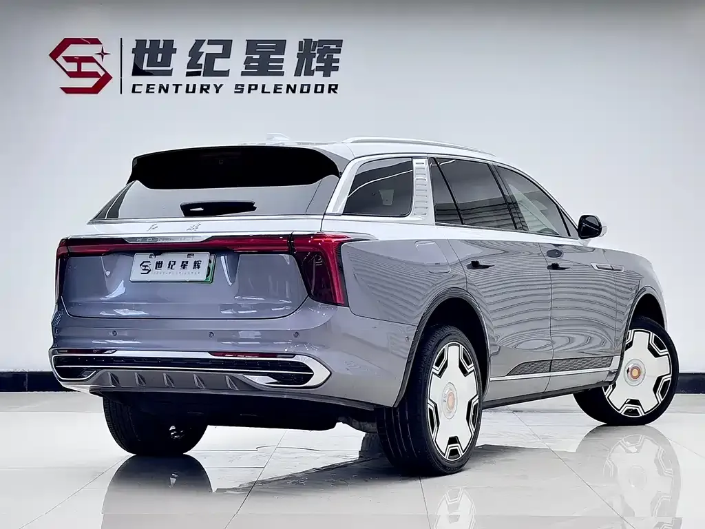 Hongqi E-HS9 — фото 7