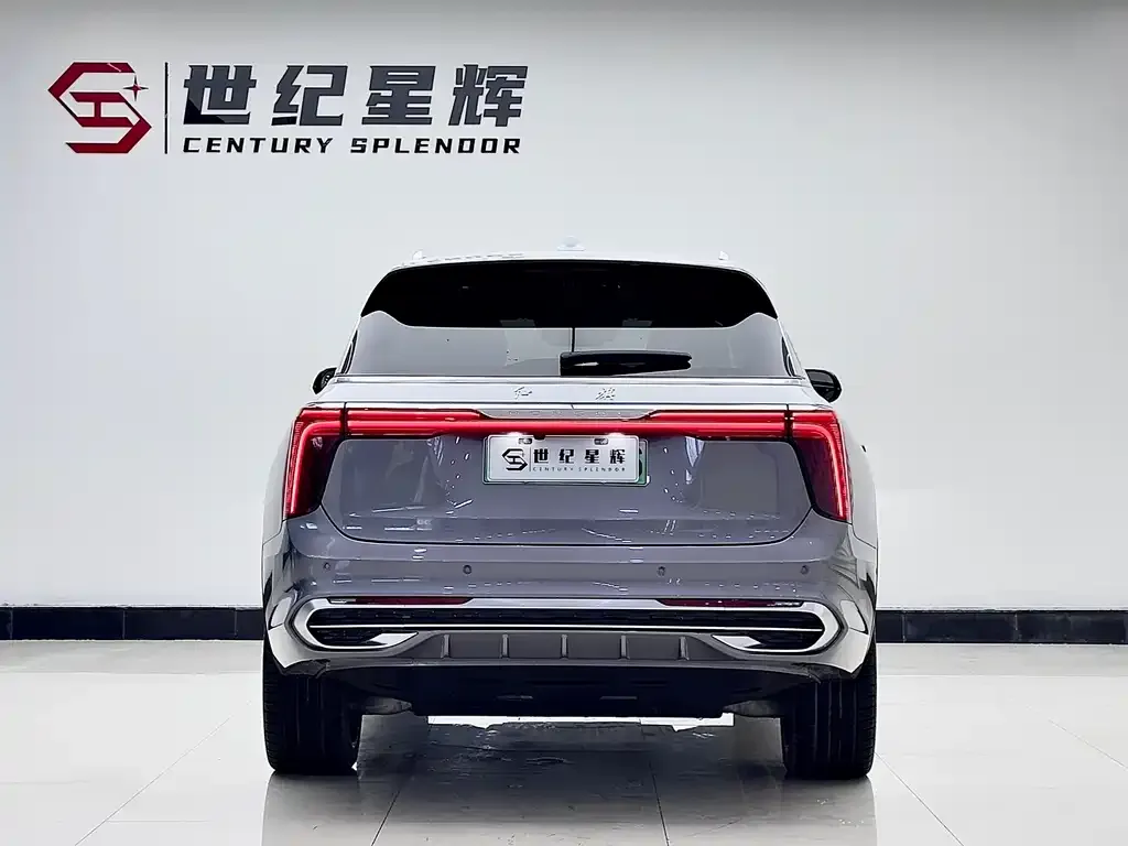Hongqi E-HS9 — фото 2