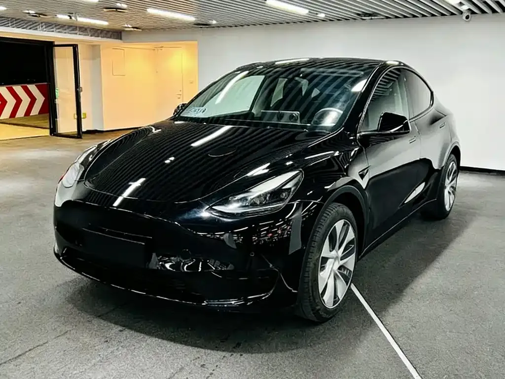 Tesla Model Y 2022 из CN, фото 1