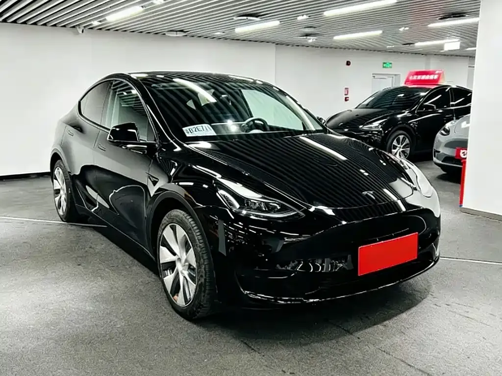 Tesla Model Y 2022 из CN, фото 4