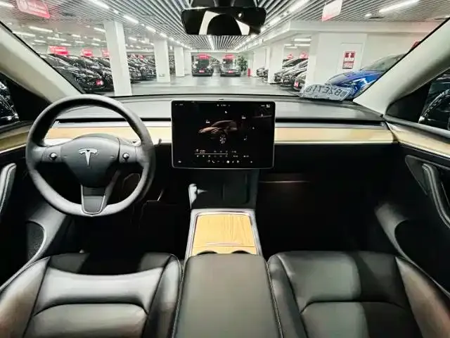 Tesla Model Y 2022 из CN, фото 6
