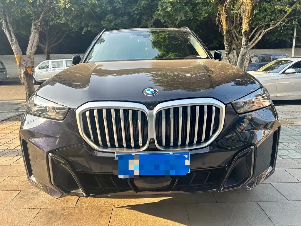 BMW X5 2024 из CN, фото 7