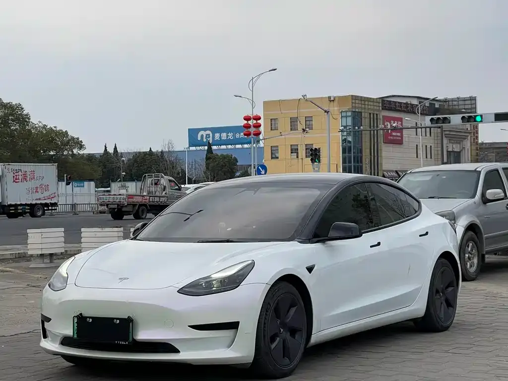 Tesla Model 3 2021 из CN, фото 1