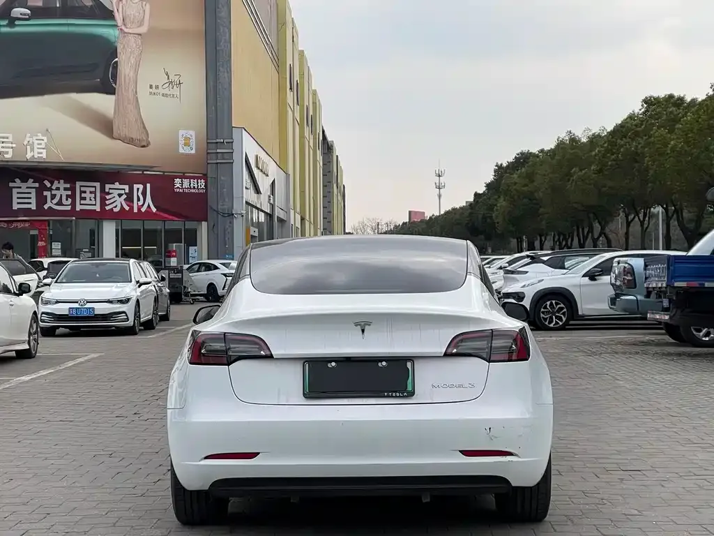 Tesla Model 3 2021 из CN, фото 8