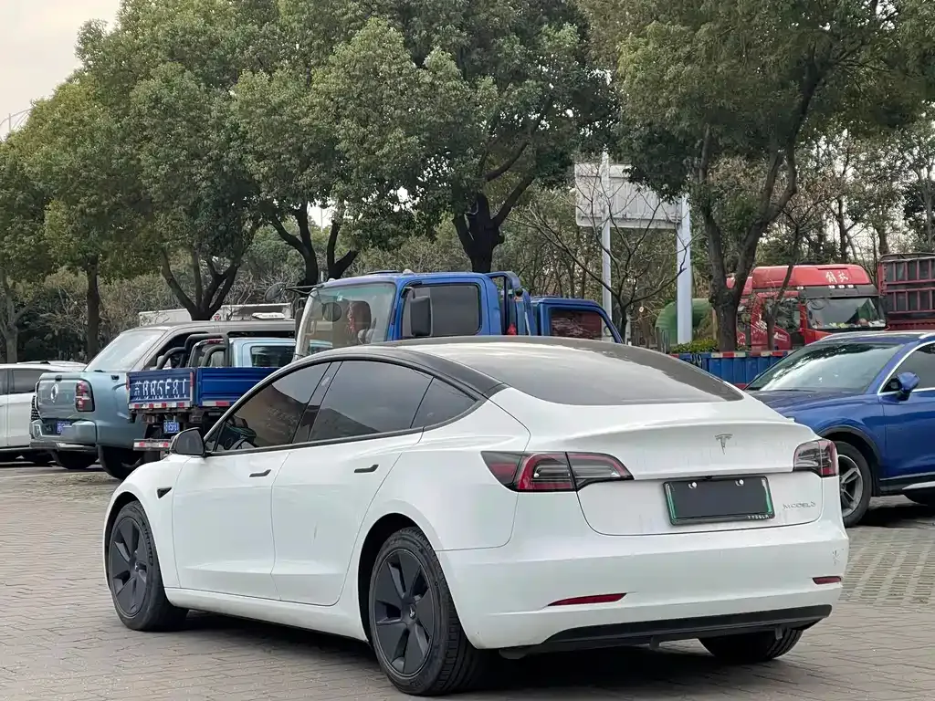 Tesla Model 3 2021 из CN, фото 7