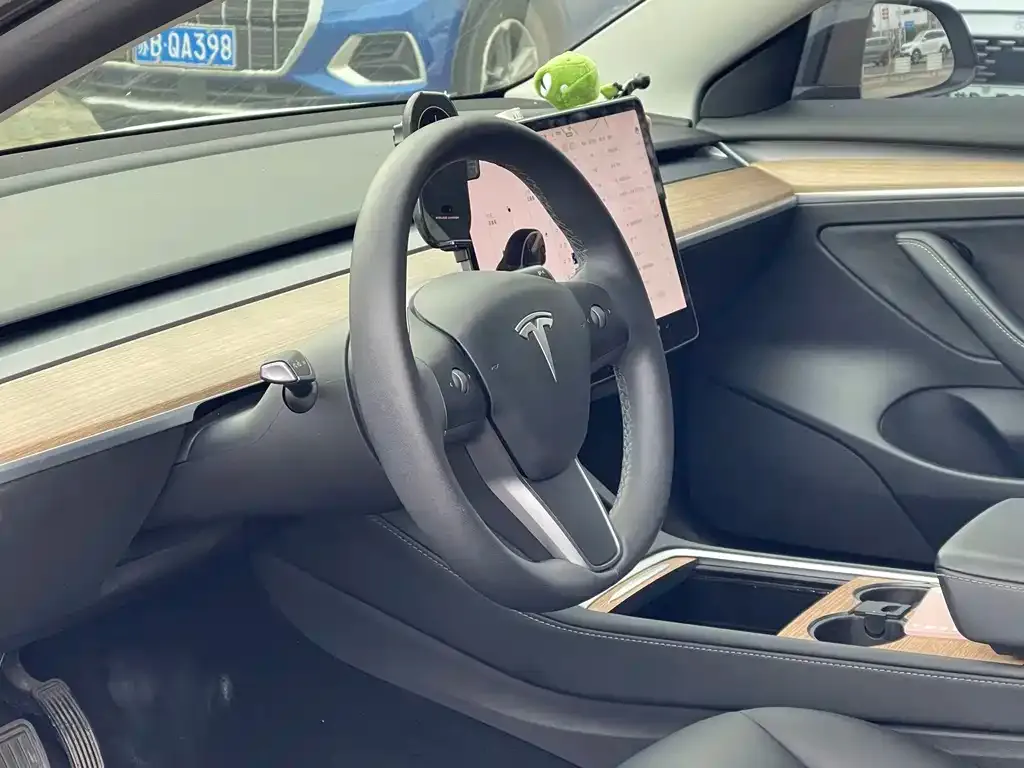 Tesla Model 3 2021 из CN, фото 6