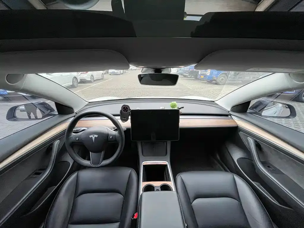 Tesla Model 3 2021 из CN, фото 5