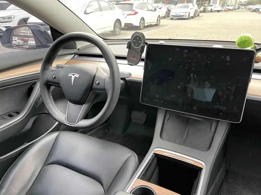Tesla Model 3 2021 из CN, фото 9