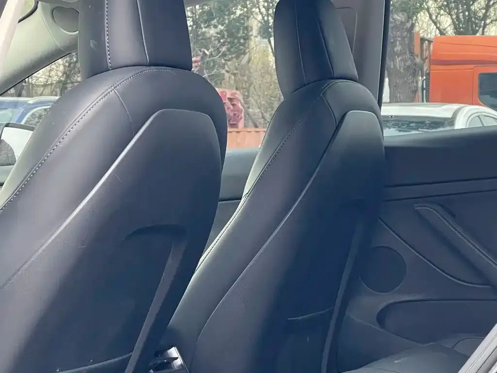 Tesla Model 3 2021 из CN, фото 4