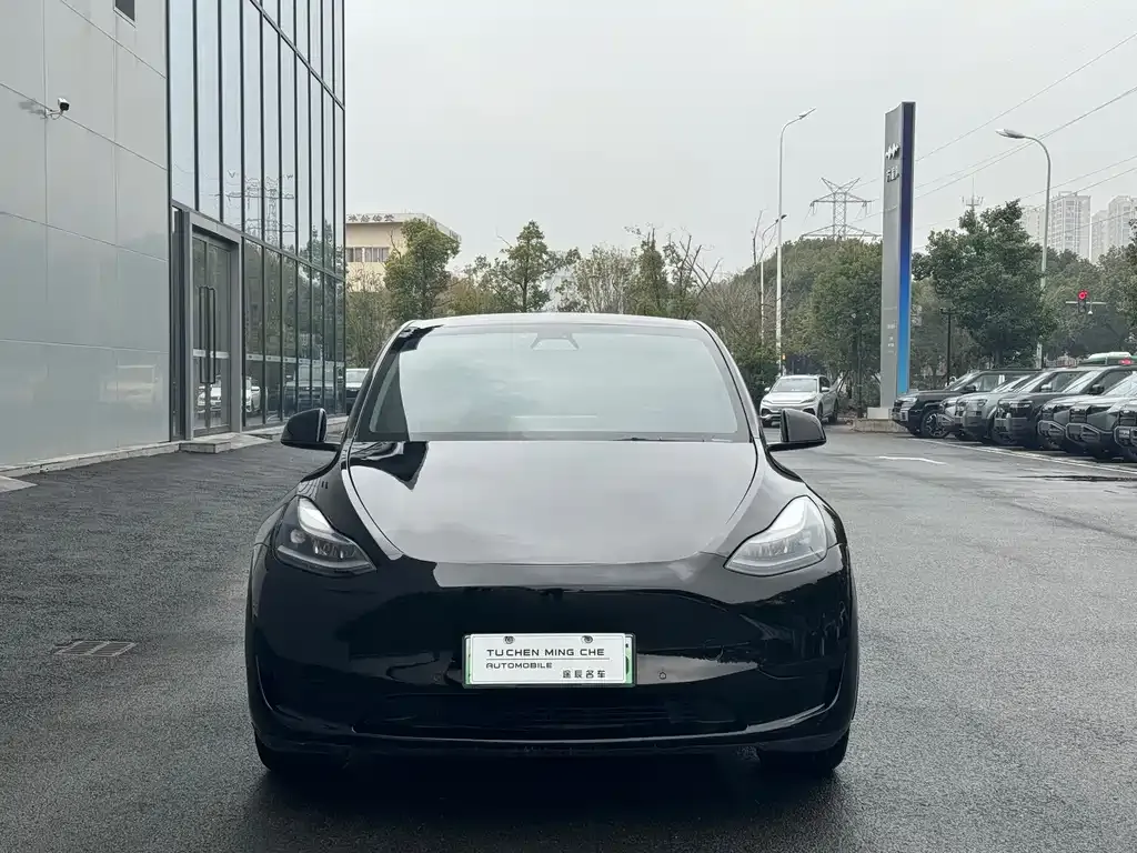 Tesla Model Y 2022 из CN, фото 6