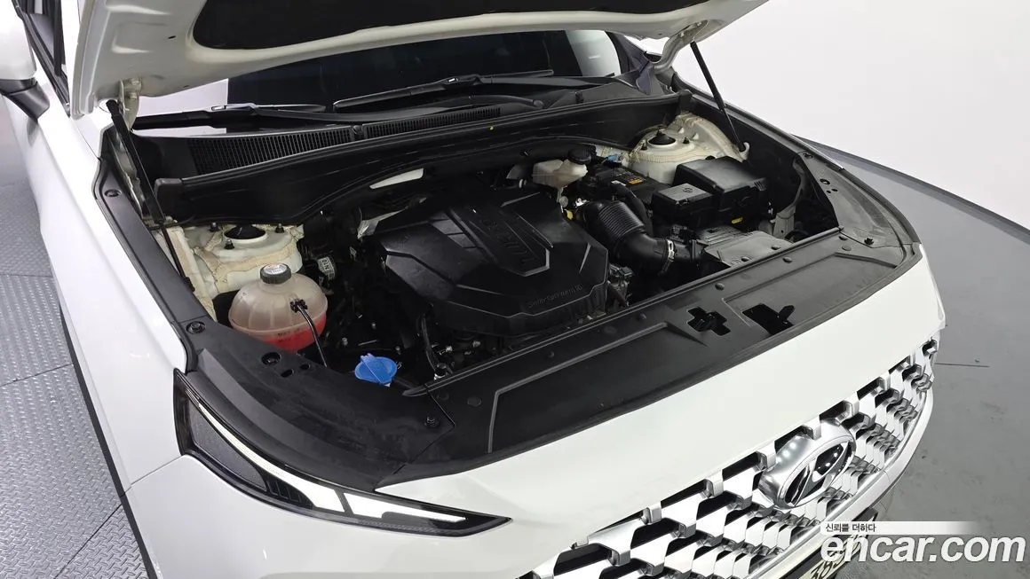 Hyundai Santafe 2021 из KR, фото 7