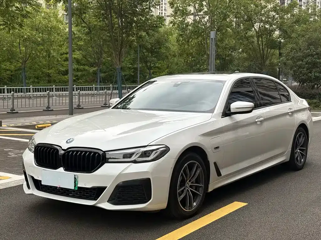 BMW 5 Series New Energy 2022 из CN, фото 1