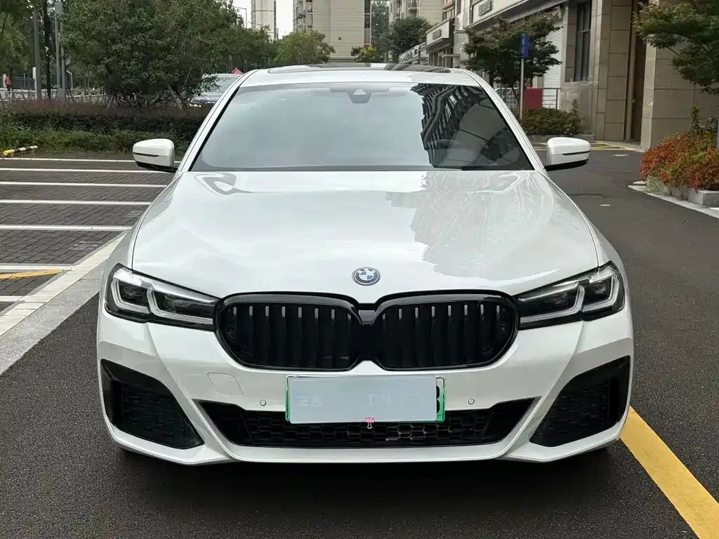 BMW 5 Series New Energy 2022 из CN, фото 3