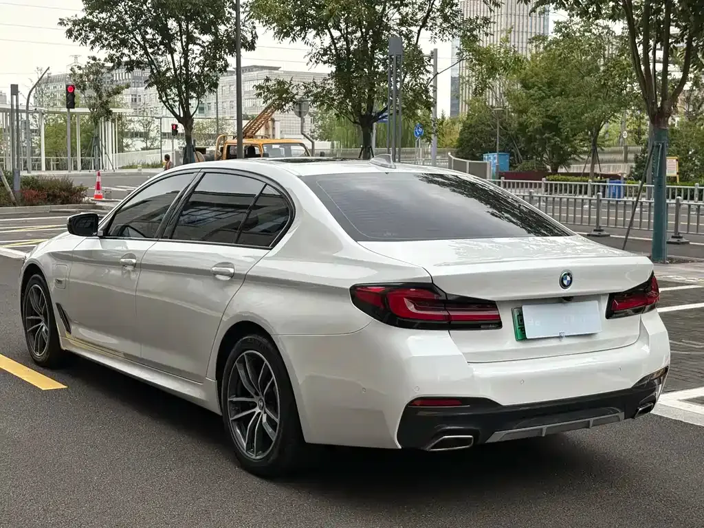 BMW 5 Series New Energy 2022 из CN, фото 8
