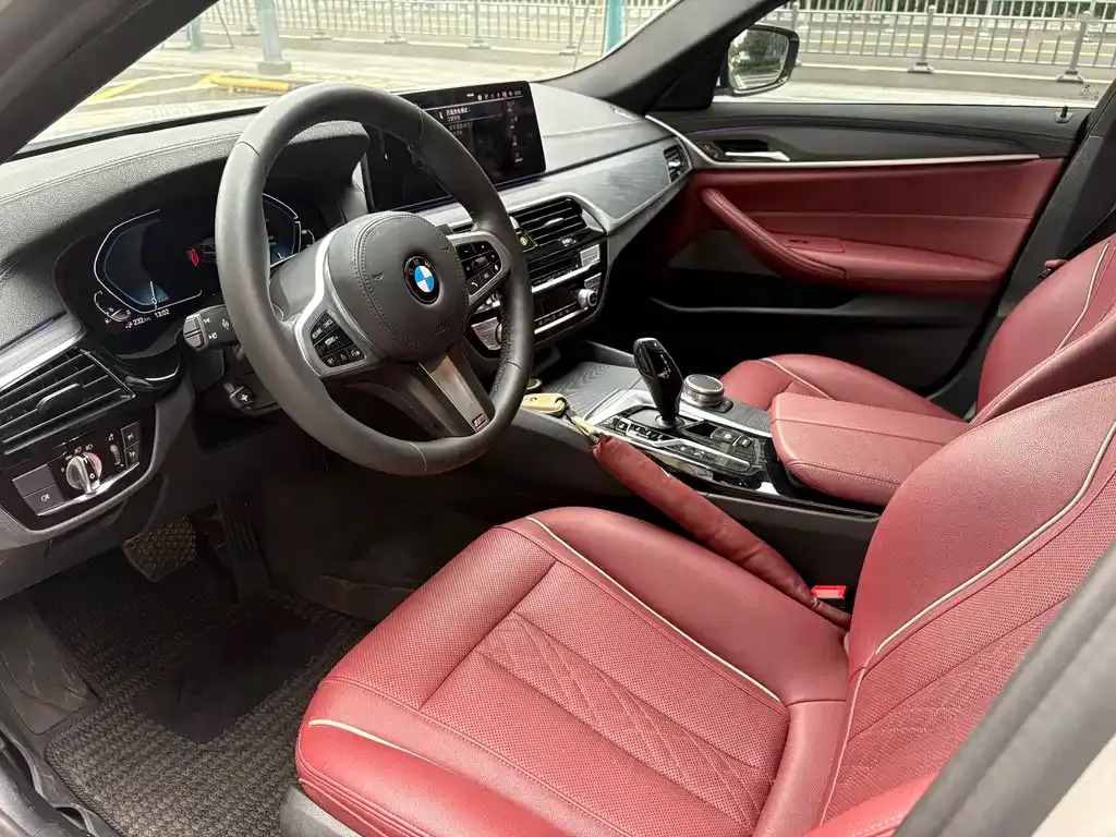 BMW 5 Series New Energy 2022 из CN, фото 9